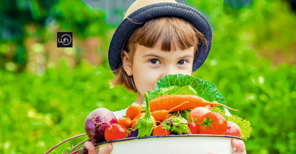 How Proper Nutrition Shapes a Child’s Future
